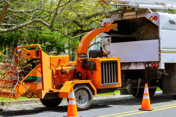 Mulching Services in Buford, GA